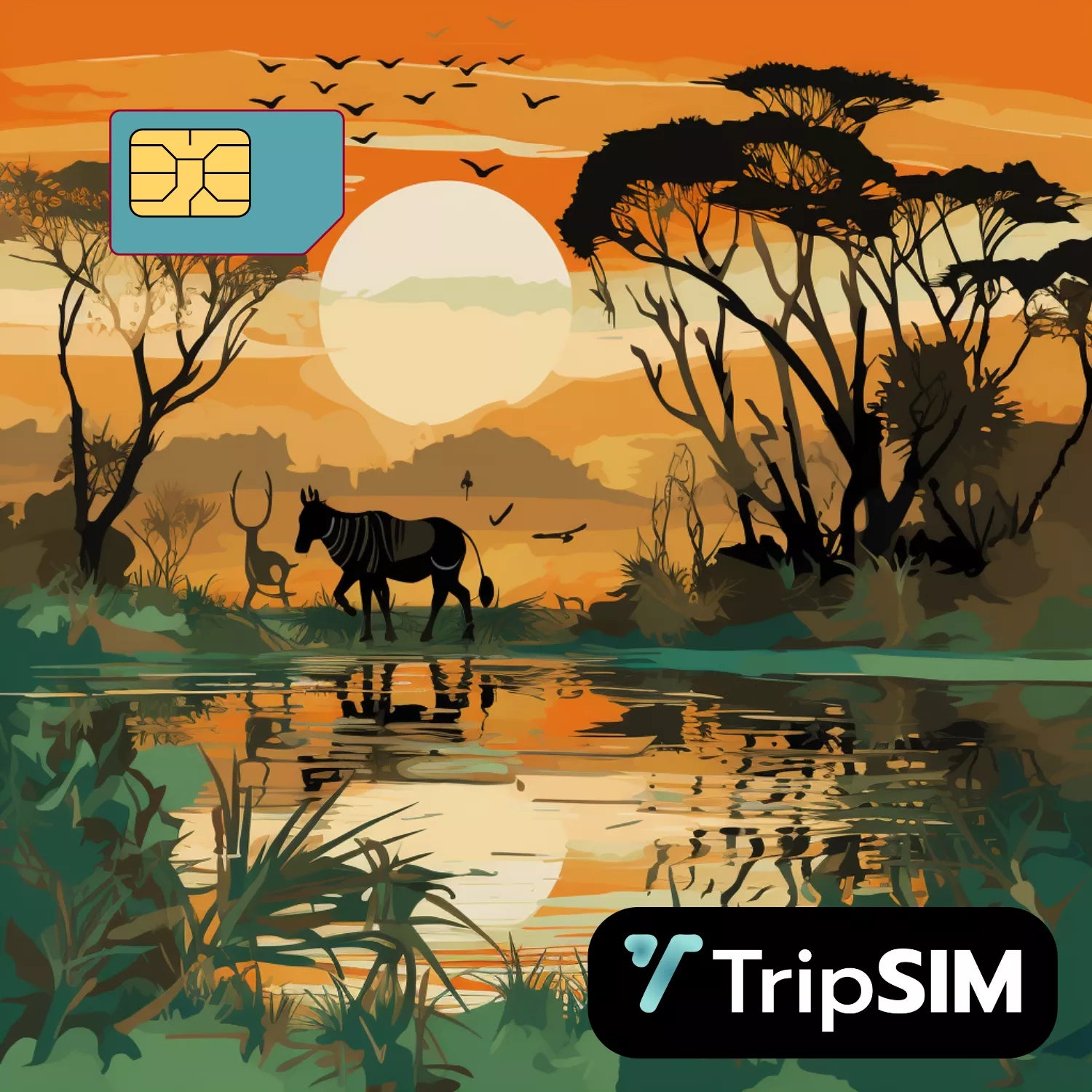 eSIM Botswana